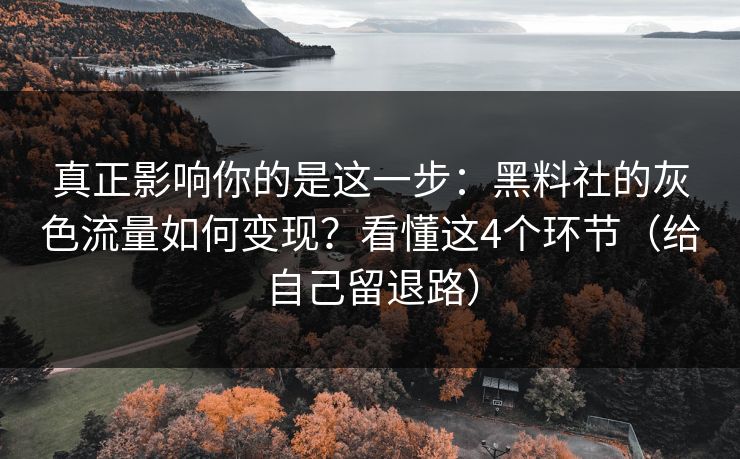 真正影响你的是这一步：黑料社的灰色流量如何变现？看懂这4个环节（给自己留退路）